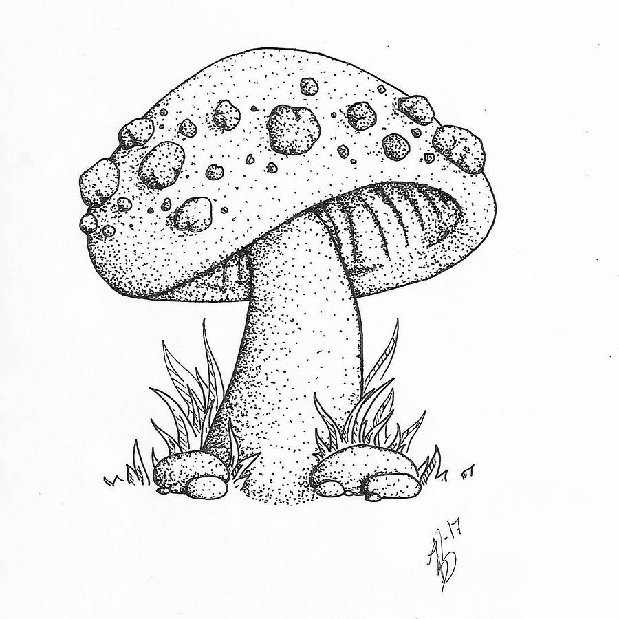 Mushroom Drawing Creative Art