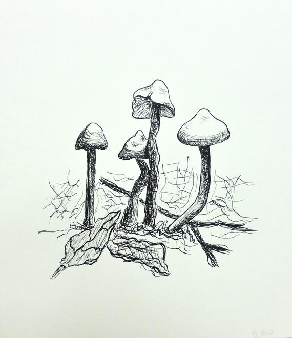 Mushroom Drawing Images
