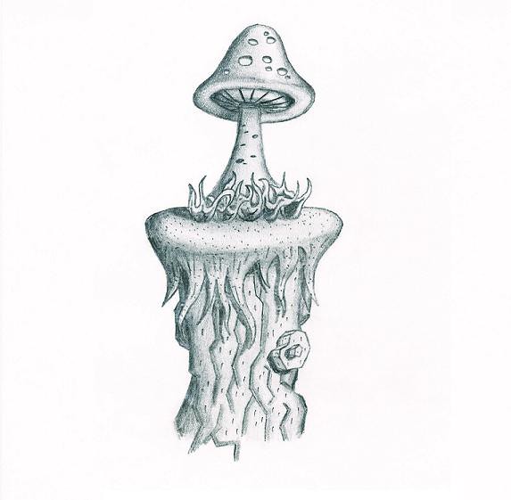 Mushroom Drawing Photo