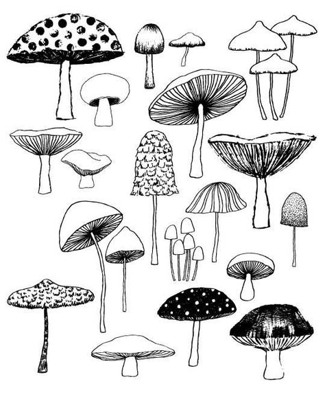 Mushroom Drawing Pics