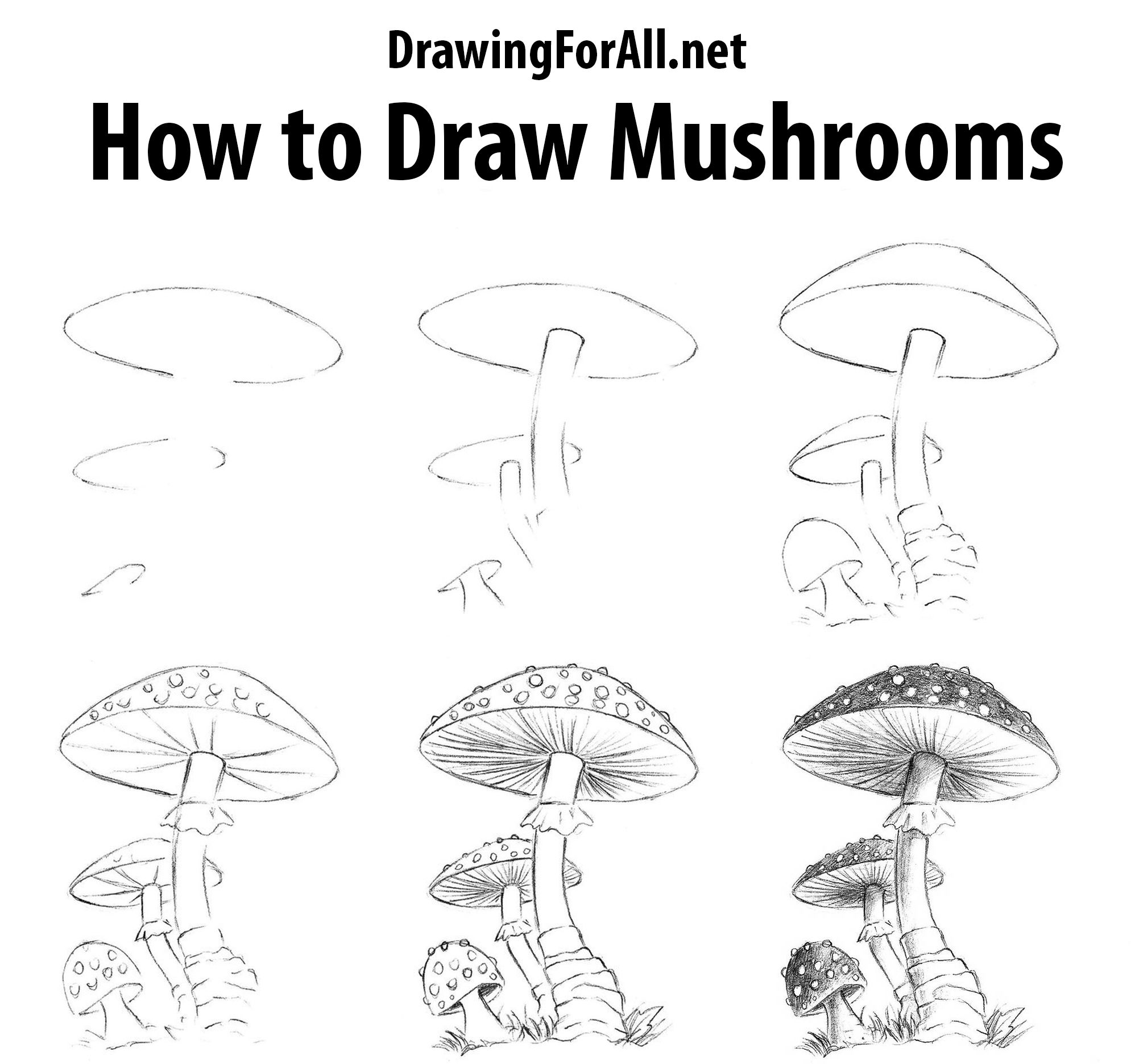 Mushroom Drawing Sketch