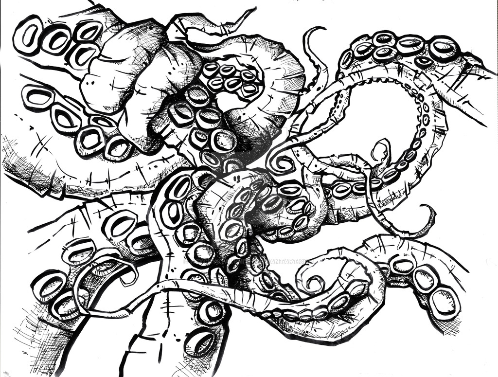 Octopus Tentacles Drawing Creative Art