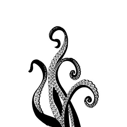 Octopus Tentacles Drawing Photo
