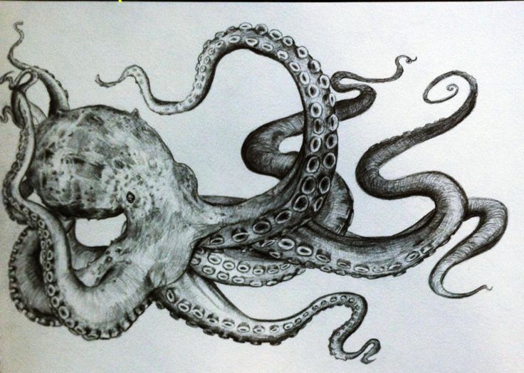 Octopus Ink Sketch. Royalty Free SVG, Cliparts, Vectors, and Stock  Illustration. Image 82095703.