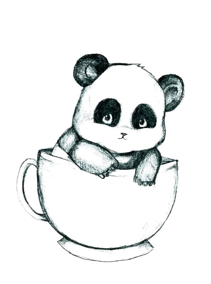 Panda Face Drawing Picture