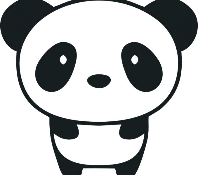 Panda Face Drawing Sketch