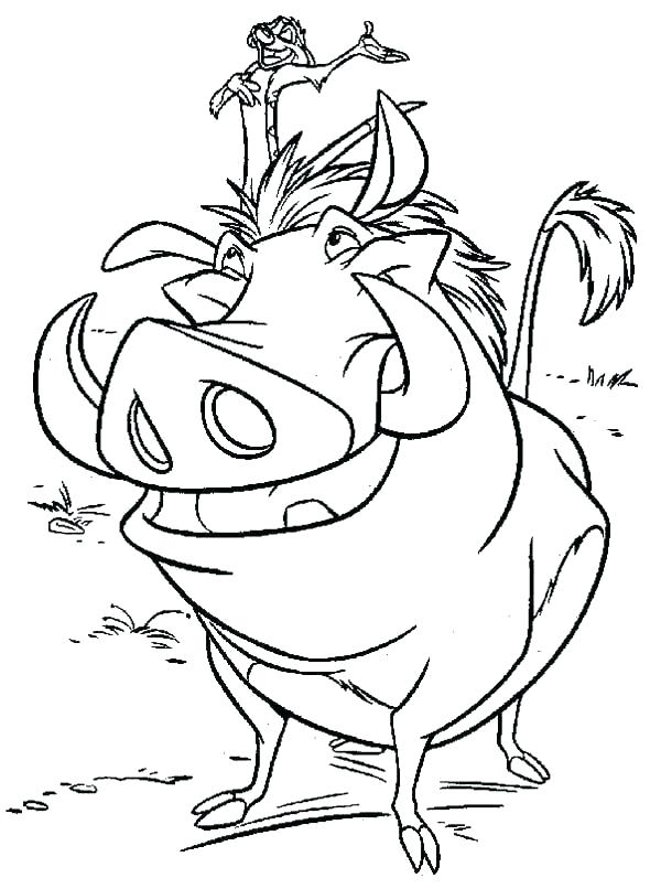 Pumbaa Drawing Pictures