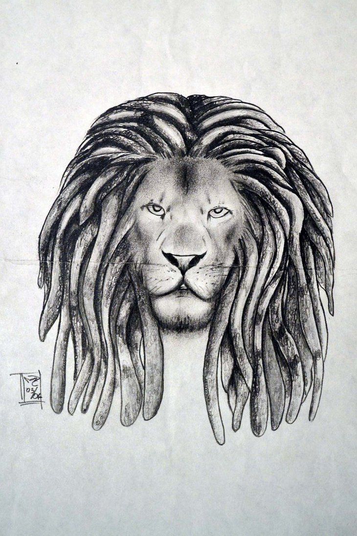 Rasta Lion Drawing Photo