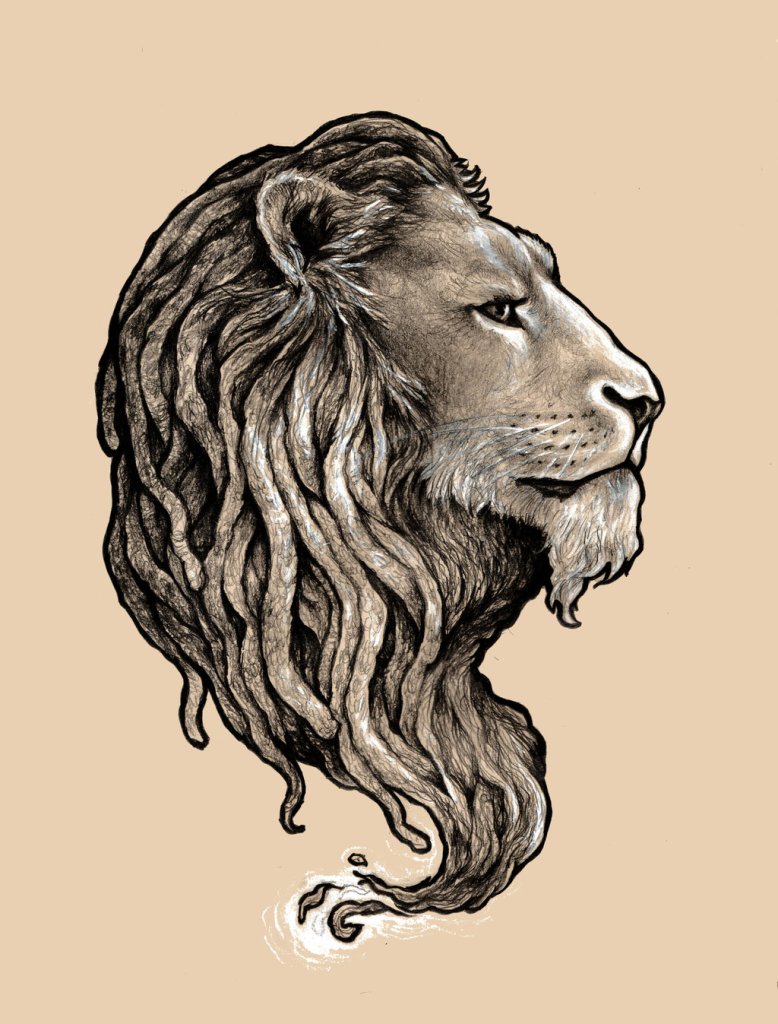 Rasta Lion Drawing Realistic