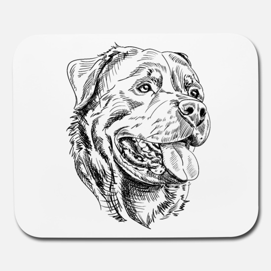 Rottweiler Drawing Realistic