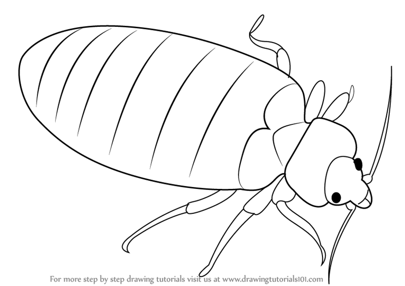 Simple Bug Drawing Image