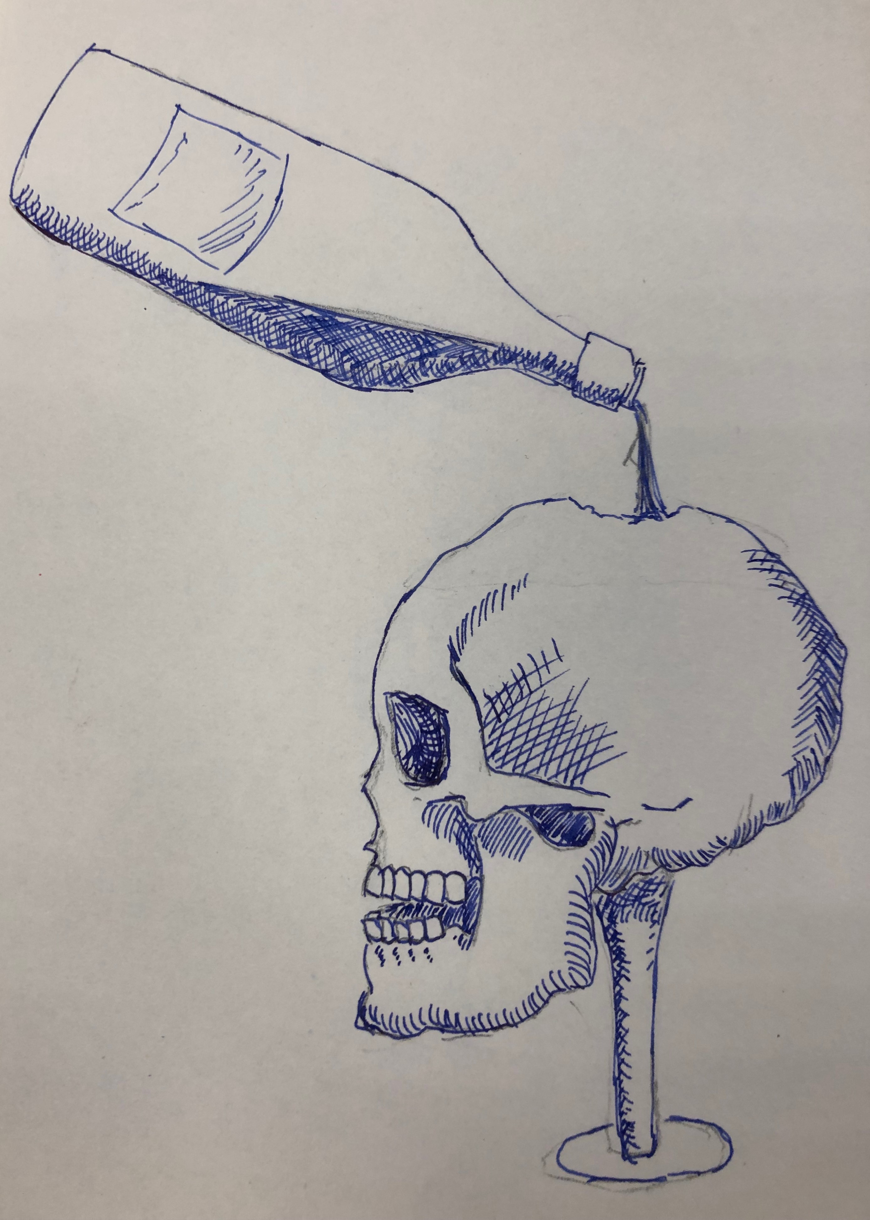 Skull Drinking Drawing