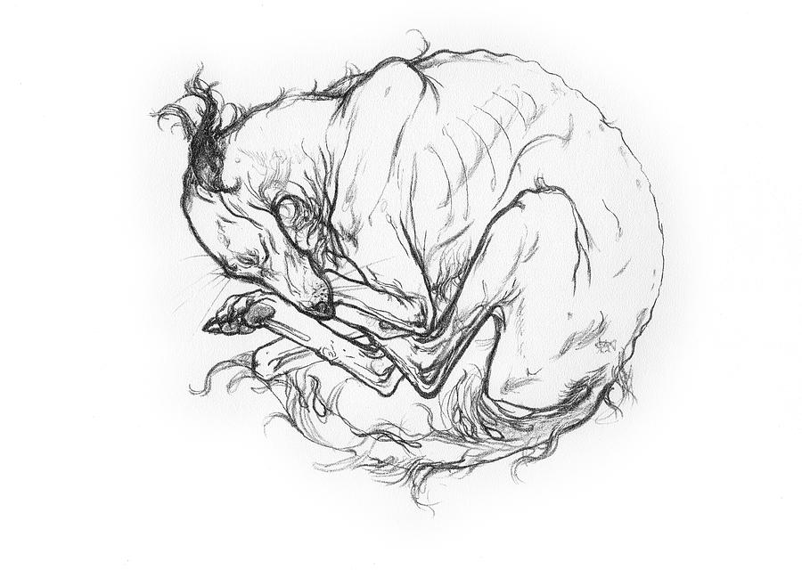 Sleeping Drawing Image