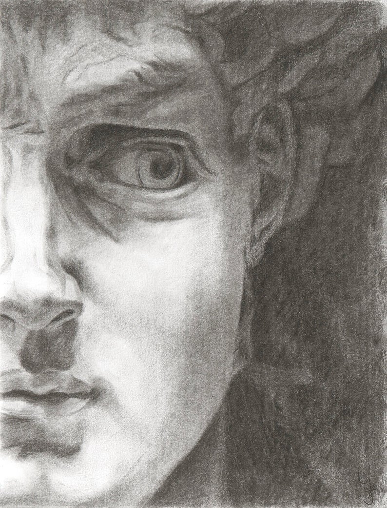The Statue of David Drawing Beautiful Image