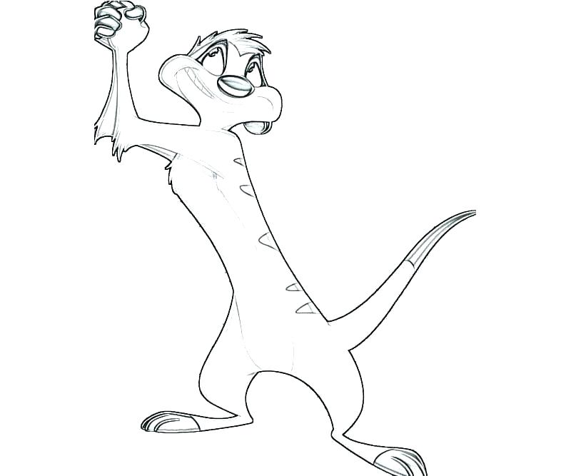 Timon Drawing Images