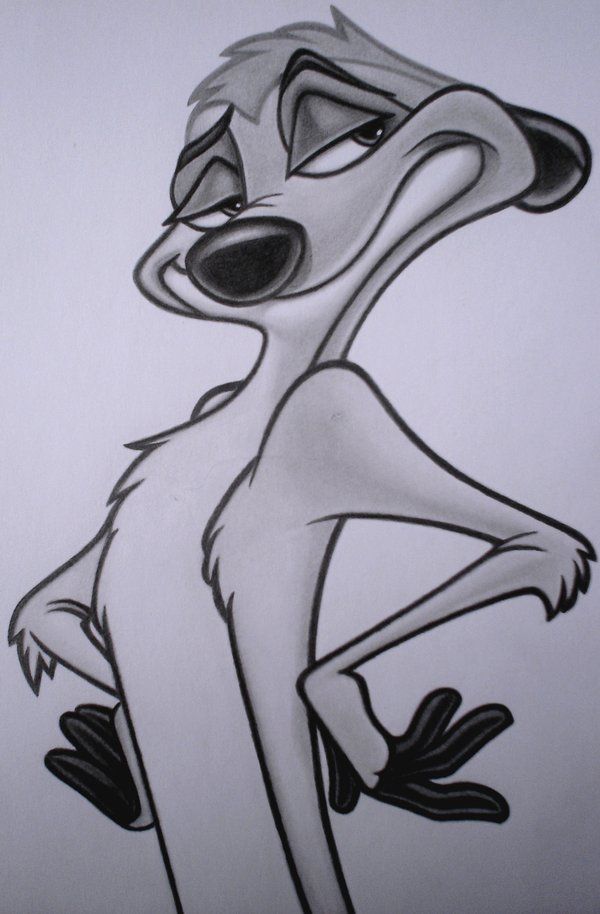 Timon Drawing Picture