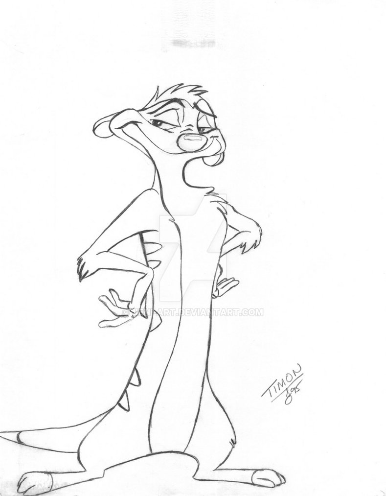 Timon Drawing Realistic