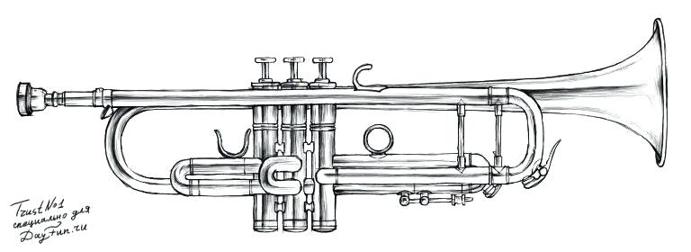 Trumpet Drawing Picture