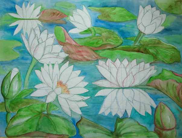 Water Lily Drawing Beautiful Image