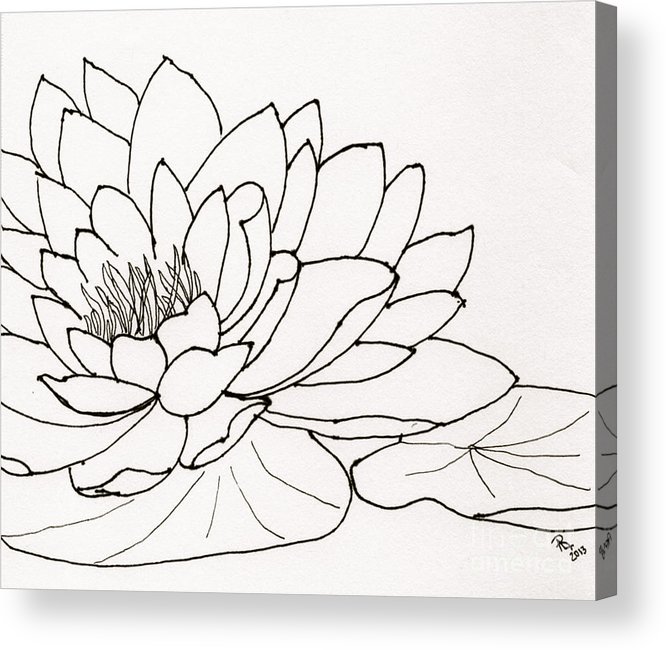 Water Lily Drawing Creative Art