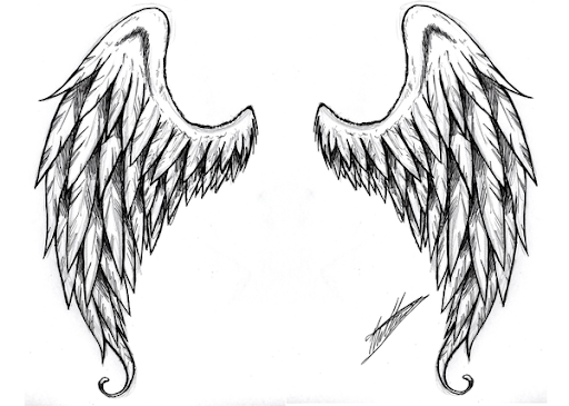 Angel Wings Drawing Picture