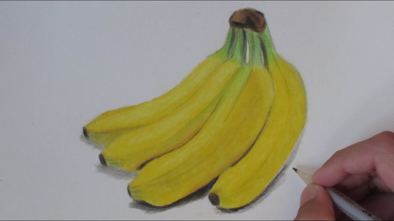 Banana Drawing Beautiful Art