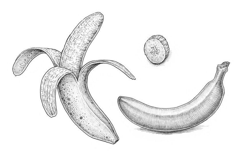 Banana Drawing Best