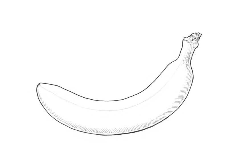 Banana Drawing Photo
