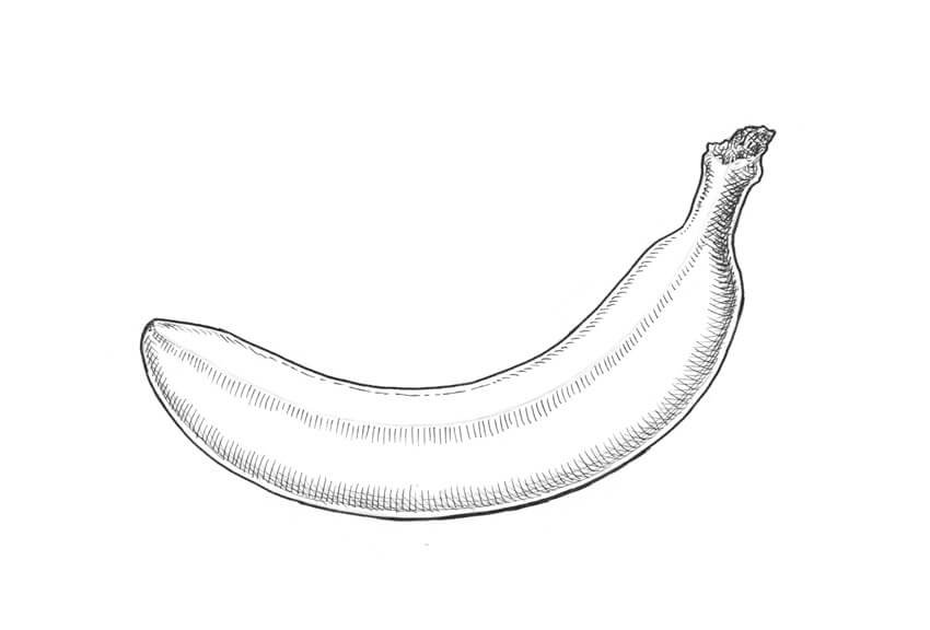 Banana Drawing Picture