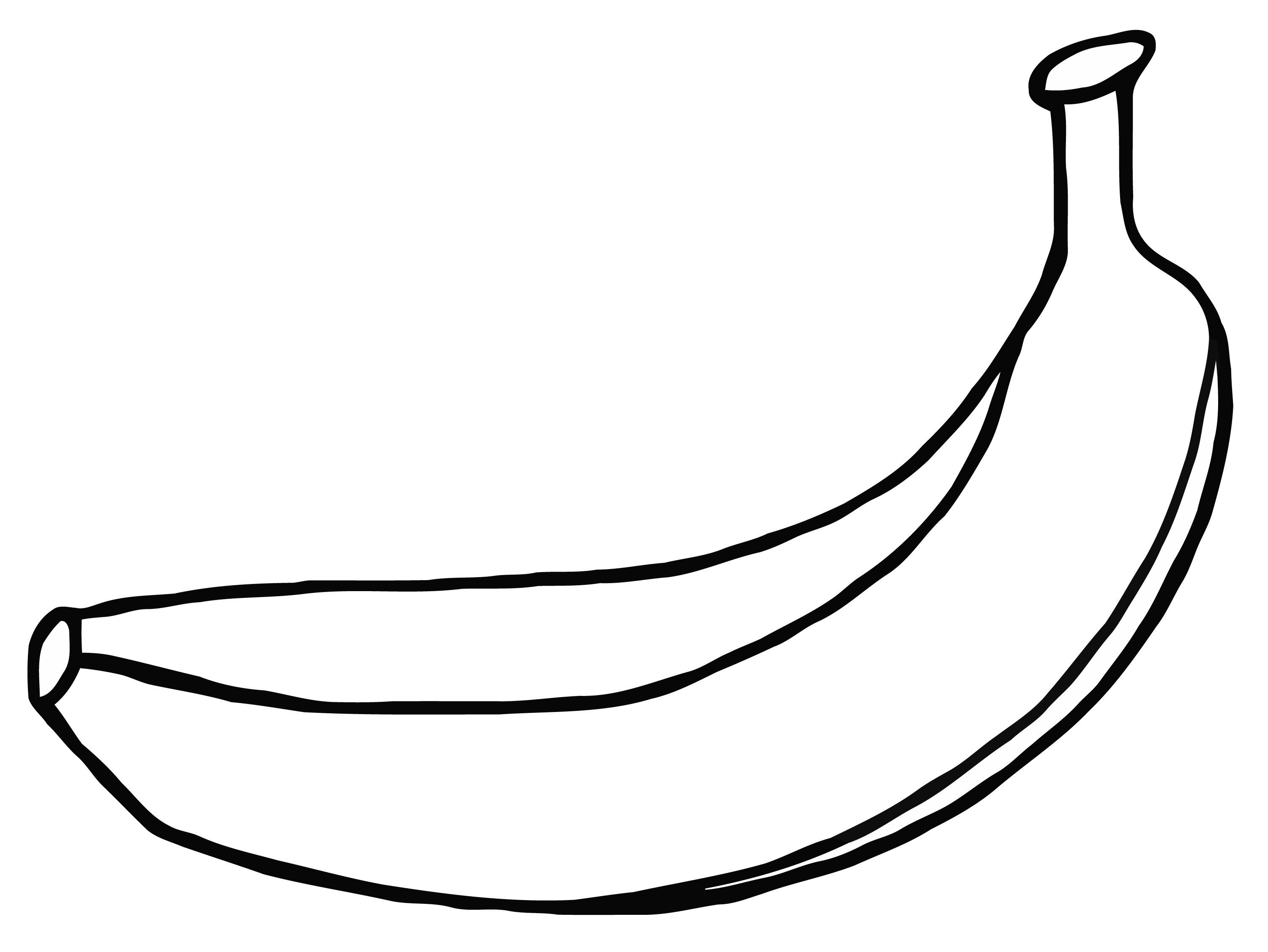 Banana Drawing Realistic