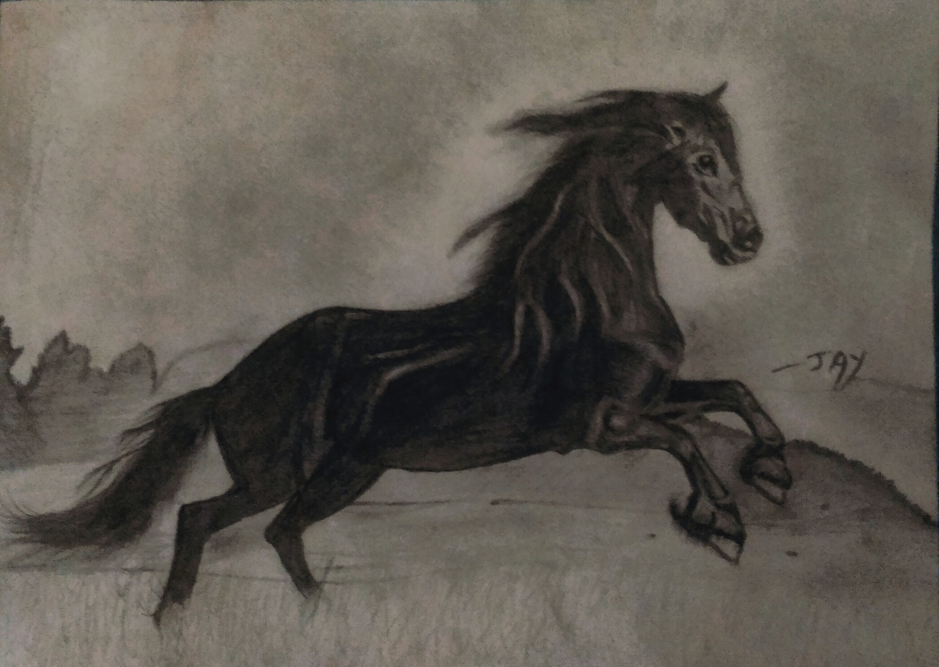 Black Stallion Horse Drawing