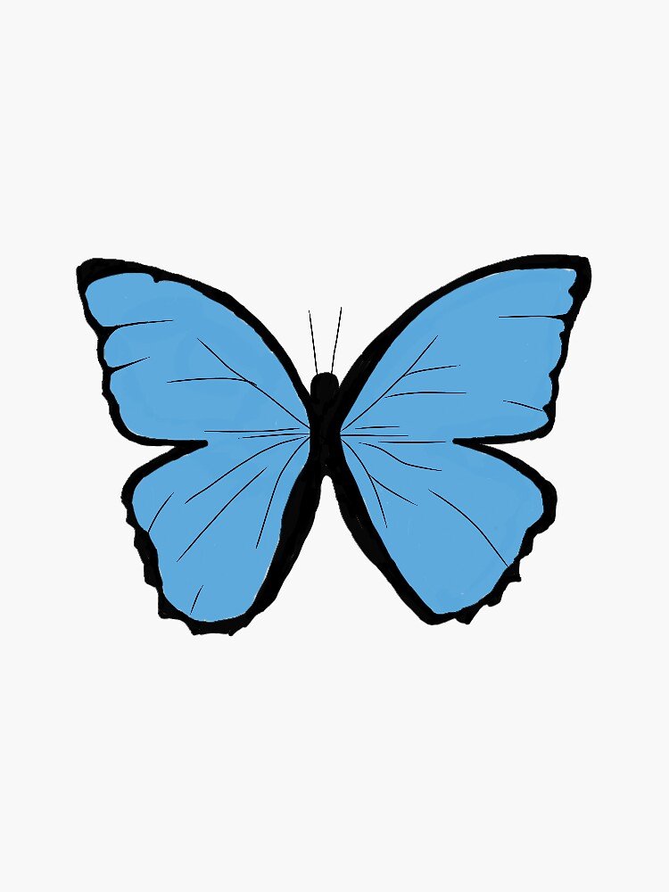 Blue Butterfly Drawing Sketch