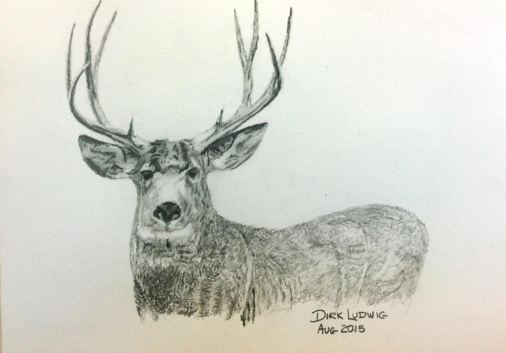 Buck Art Drawing