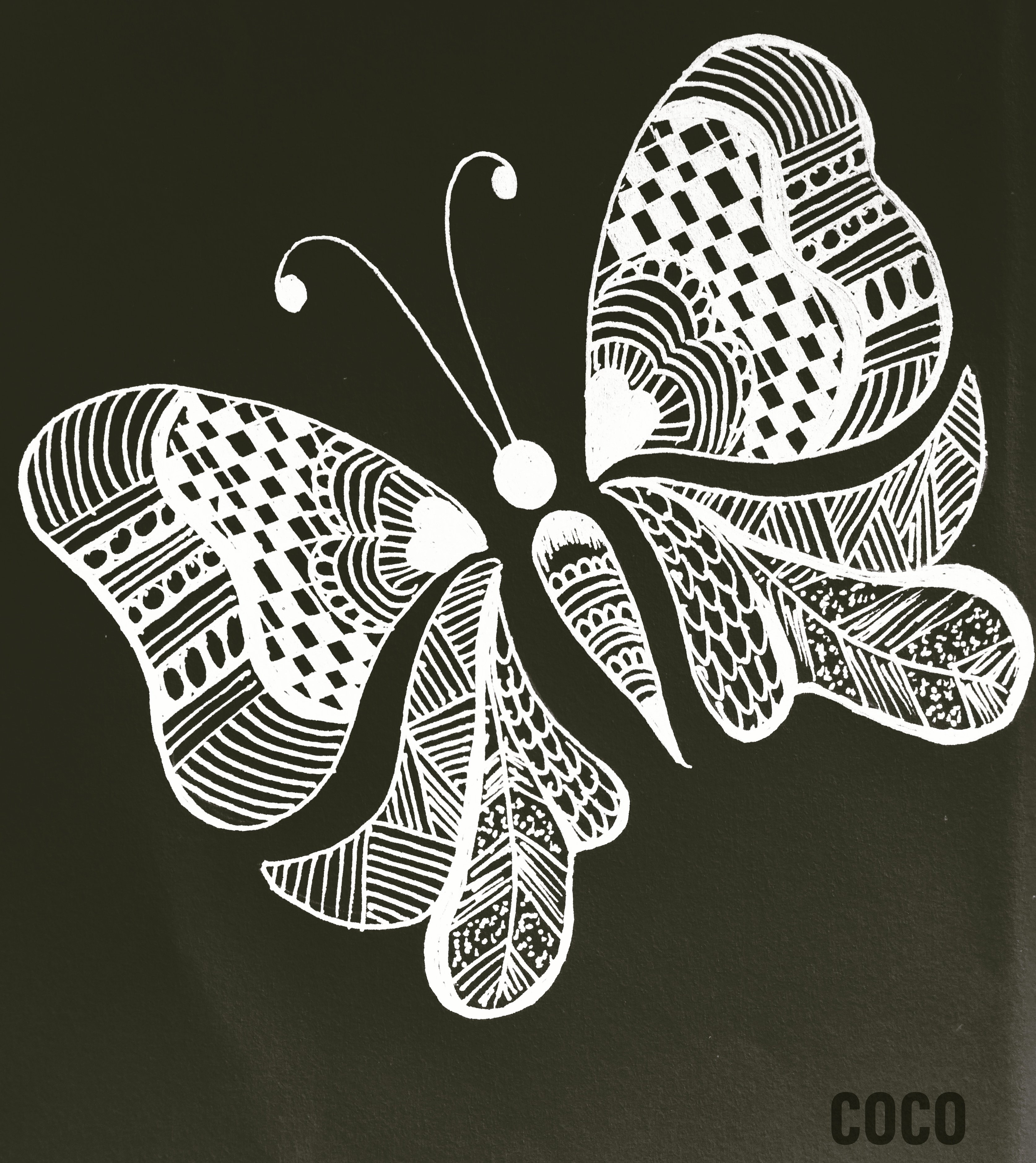 Butterfly Doodle Drawing
