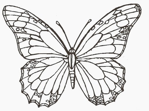 Creative Cartoon Drawing Beautiful Butterfly PNG Images | AI Free Download  - Pikbest