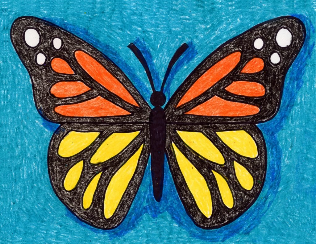 Butterfly Sketch Drawing Picture