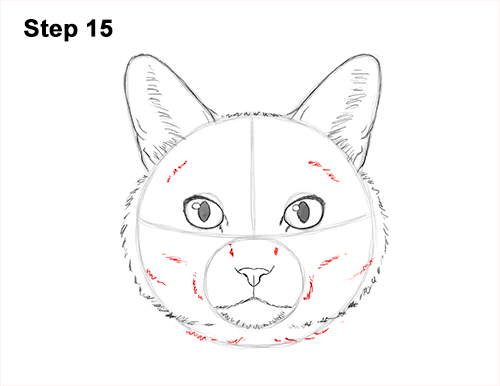 Cat Head Art Drawing