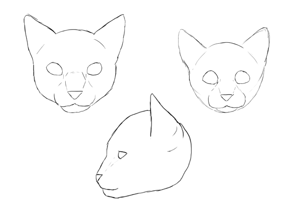 Cat Head Drawing Realistic