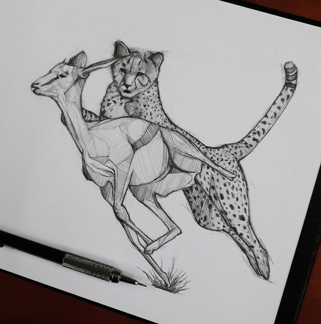 Cheetah Chasing A Deer Drawing