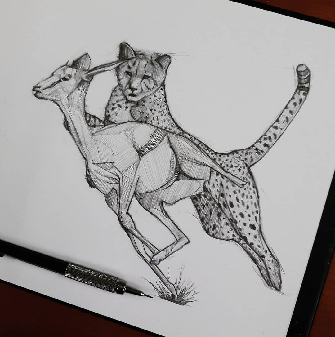 How to Draw a Cheetah Step by Step