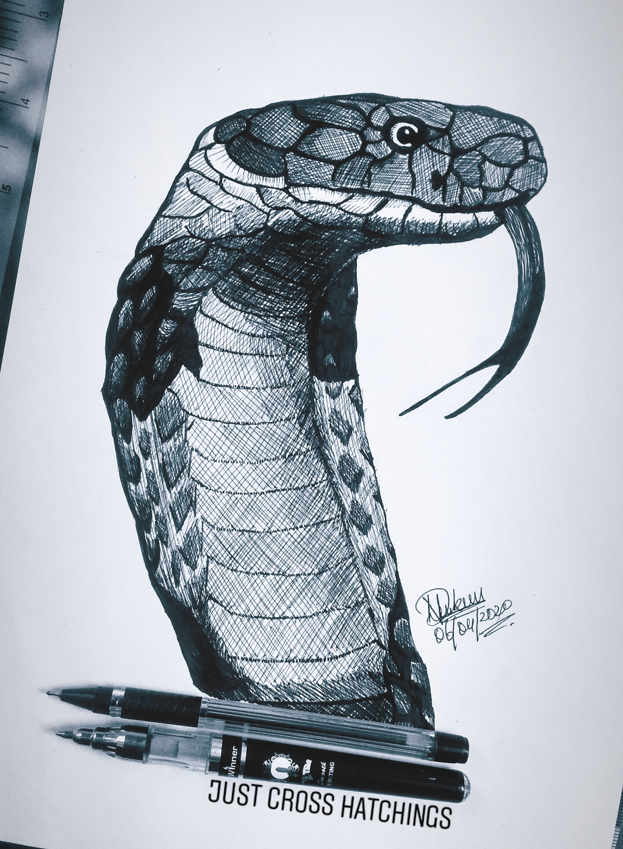 Cobra Snake Drawing