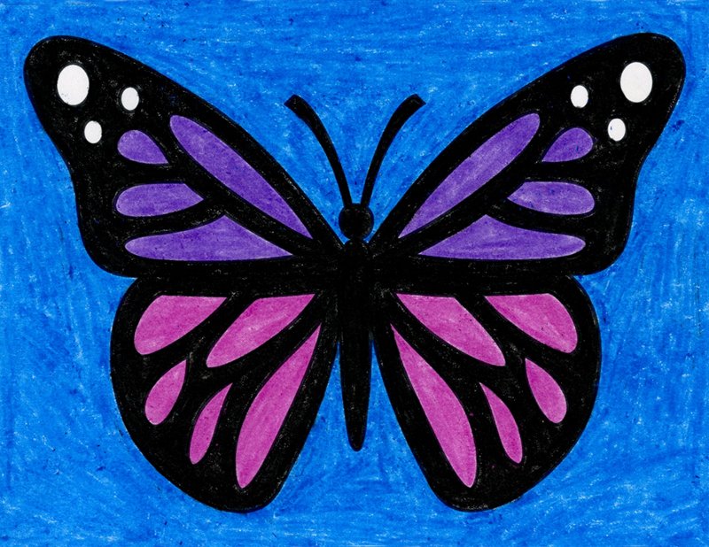 Color Butterfly Drawing Art