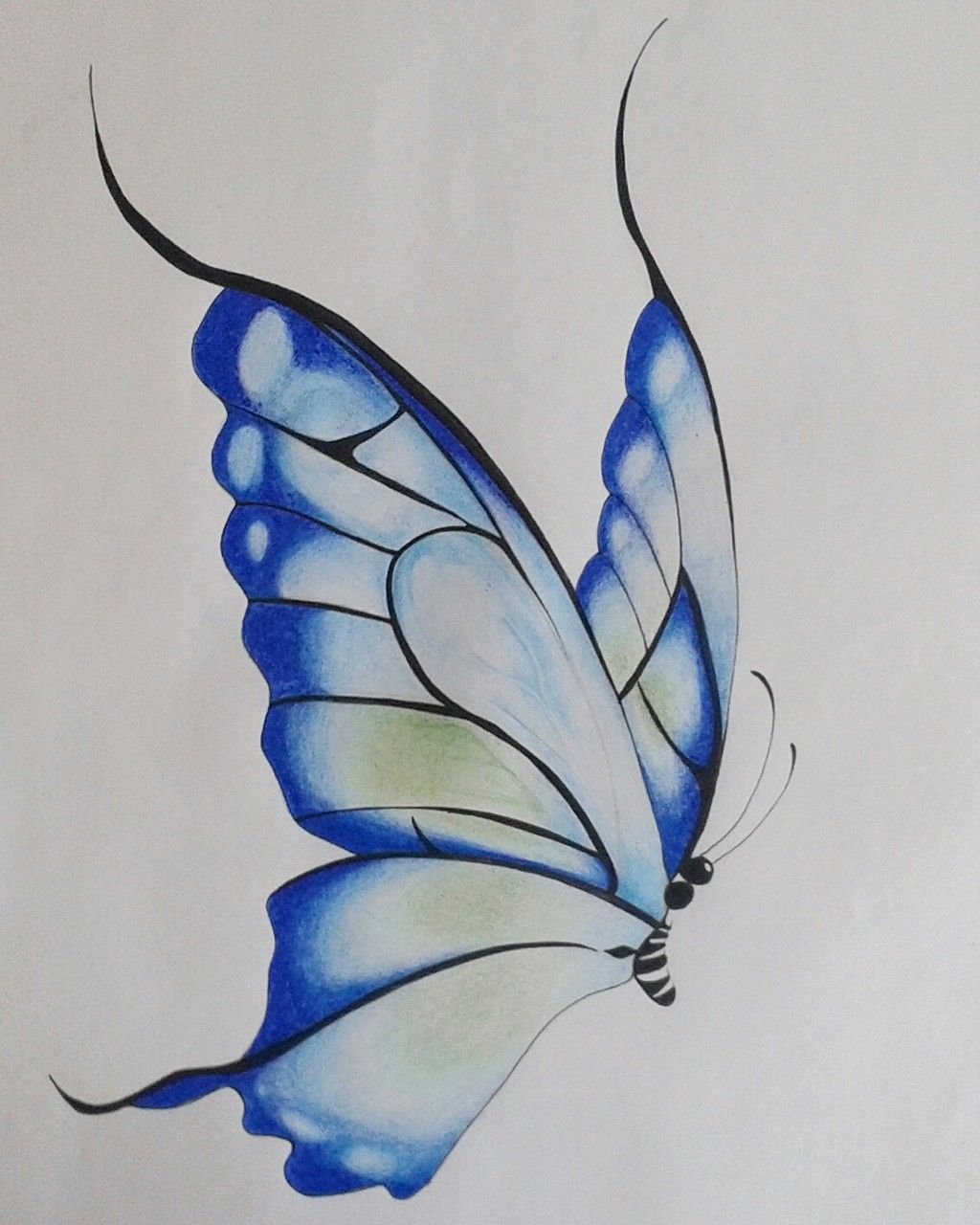 DRAWING BUTTERFLY WITH SIMPLE COLORS — Steemit