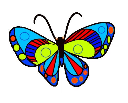 Color Butterfly Drawing Best