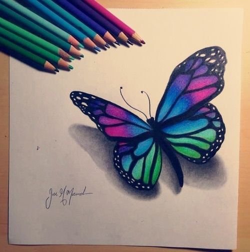 How to draw a butterfly with colored pencils - Pencil drawing | Butterfly  drawing, Color pencil drawing, Pencil sketch drawing