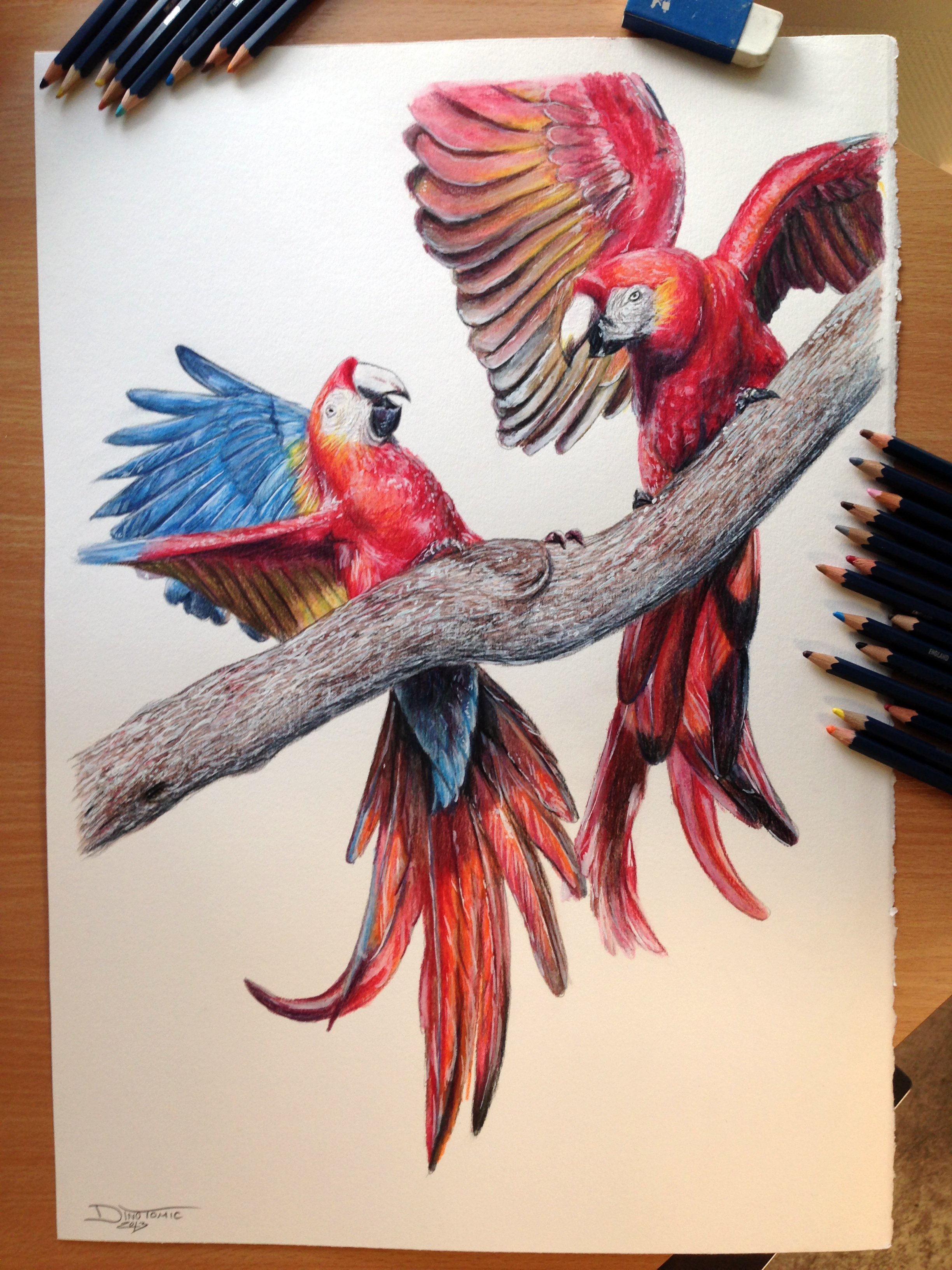 Color Sketch Drawing Amazing  Drawing Skill