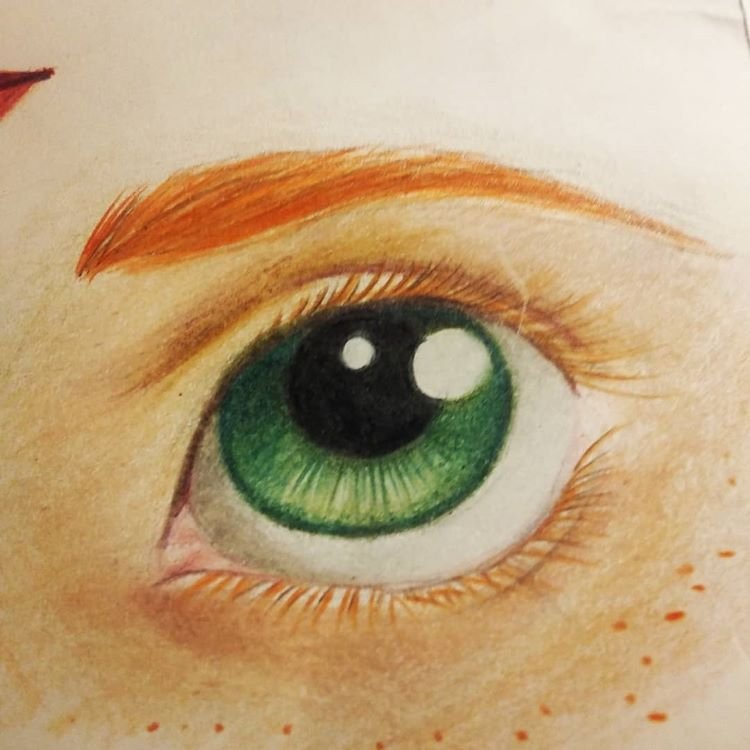 Colored Eyes Drawing Sketch