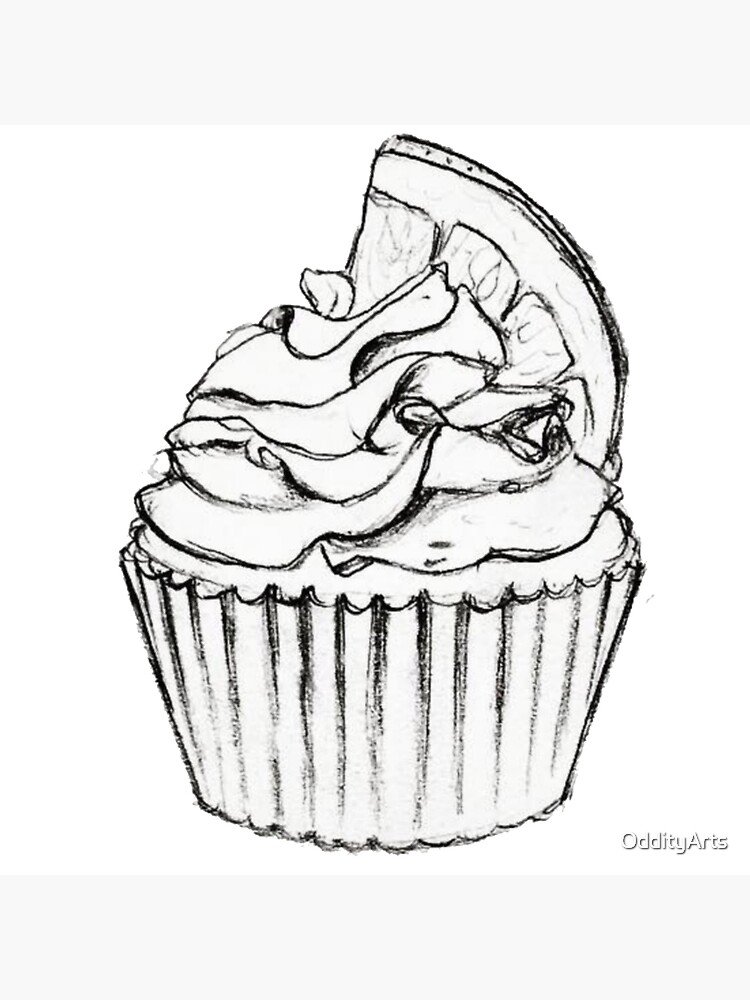 Cupcake Drawing Sketch