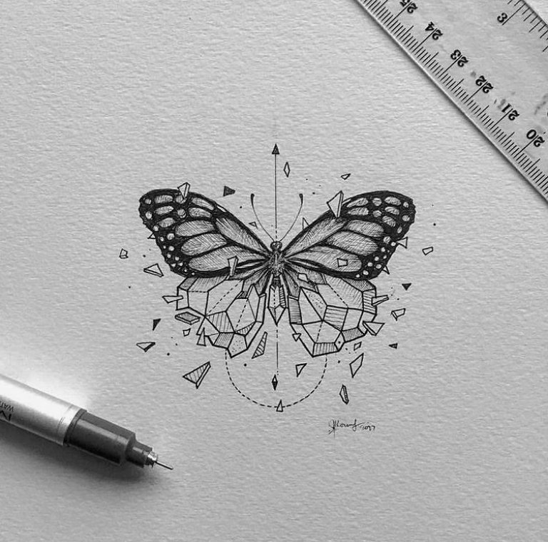 Cute Butterfly Drawing Amazing
