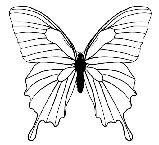 Cute Butterfly Drawing Images